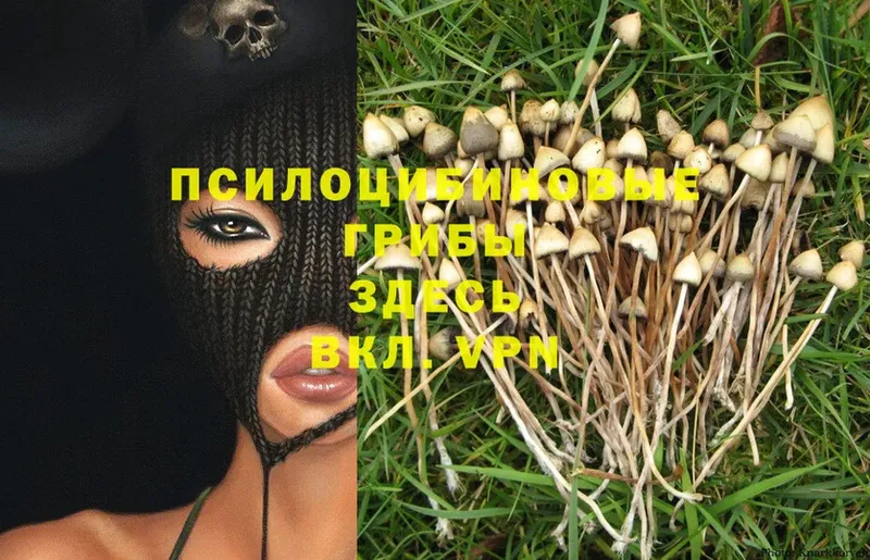 Псилоцибиновые грибы MAGIC MUSHROOMS  Искитим 